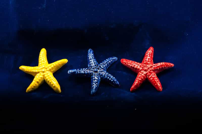 Creazioni Artigiane | Foto prodotto | Magnete stella marina