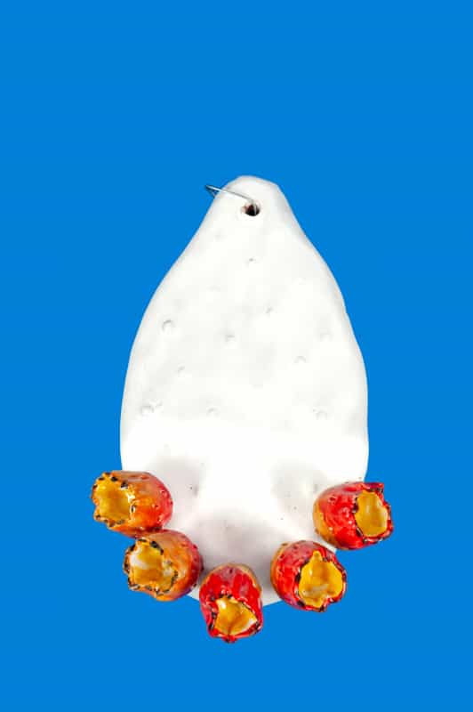 Pala fico d’india bianca con frutti colorati media